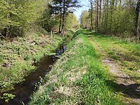 IMG_20230429_124007962