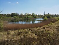 IMG_20230429_115117968