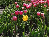 IMG_20230429_110355756