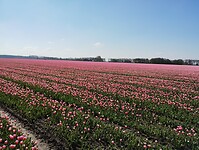 IMG_20230429_110319231