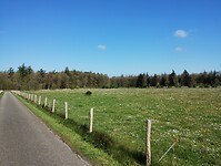 IMG_20230429_104458136