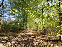IMG_20230429_103800906