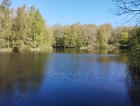 IMG_20230429_102002676