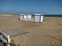 IMG-20230505-WA0005