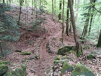 IMG_20230511_144632738