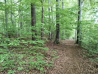 IMG_20230511_144027413