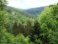IMG_20230511_142533182