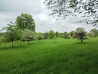 IMG_20230511_135814059