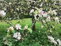 IMG_20230511_134540594