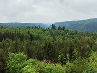 IMG_20230511_130727107