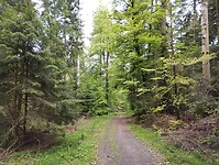 IMG_20230512_132336893