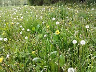 IMG_20230512_123428384