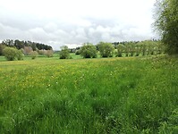 IMG_20230512_123359862