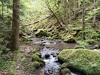 IMG_20230512_114113027