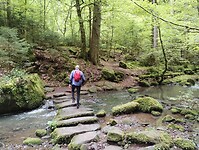 IMG_20230512_113703371