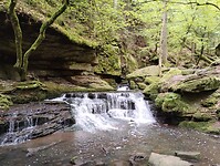 IMG_20230512_113047332