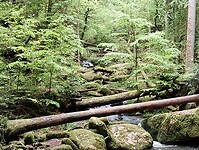 IMG_20230512_112859479