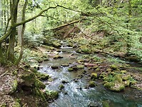 IMG_20230512_111906275