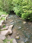 IMG_20230512_103623992