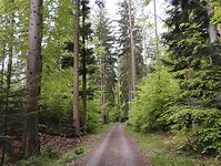IMG_20230512_101136142