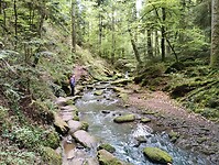 IMG_20230512_113949471