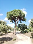 IMG_20230611_174459248
