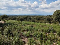 IMG_20230611_174305124