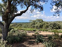 IMG_20230611_174008145_HDR