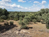 IMG_20230611_172835477