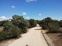 IMG_20230611_172813555