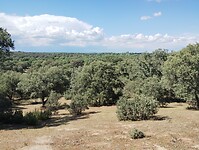 IMG_20230611_171234677