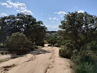 IMG_20230611_171218779_HDR