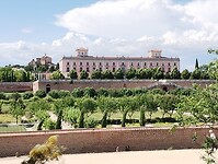 IMG_20230611_170133701