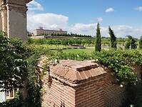 IMG_20230611_165319465