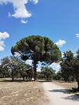 IMG_20230611_160736976