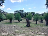 IMG_20230611_160115946_HDR