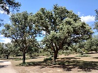 IMG_20230611_160030537_HDR