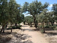 IMG_20230611_155219268_HDR