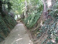 IMG_20230616_140302859