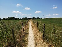 IMG_20230616_135743500