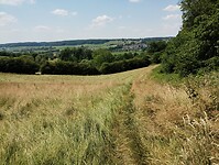 IMG_20230616_134045534