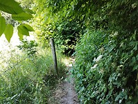 IMG_20230616_133704763