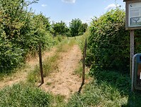 IMG_20230616_130354126_HDR