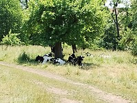 IMG_20230616_125805380