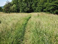 IMG_20230616_125342000