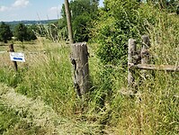 IMG_20230616_125226171