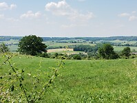 IMG_20230616_124354010