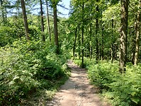 IMG_20230616_122136772_HDR