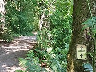 IMG_20230616_120906098