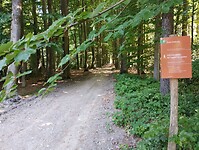 IMG_20230616_115010510